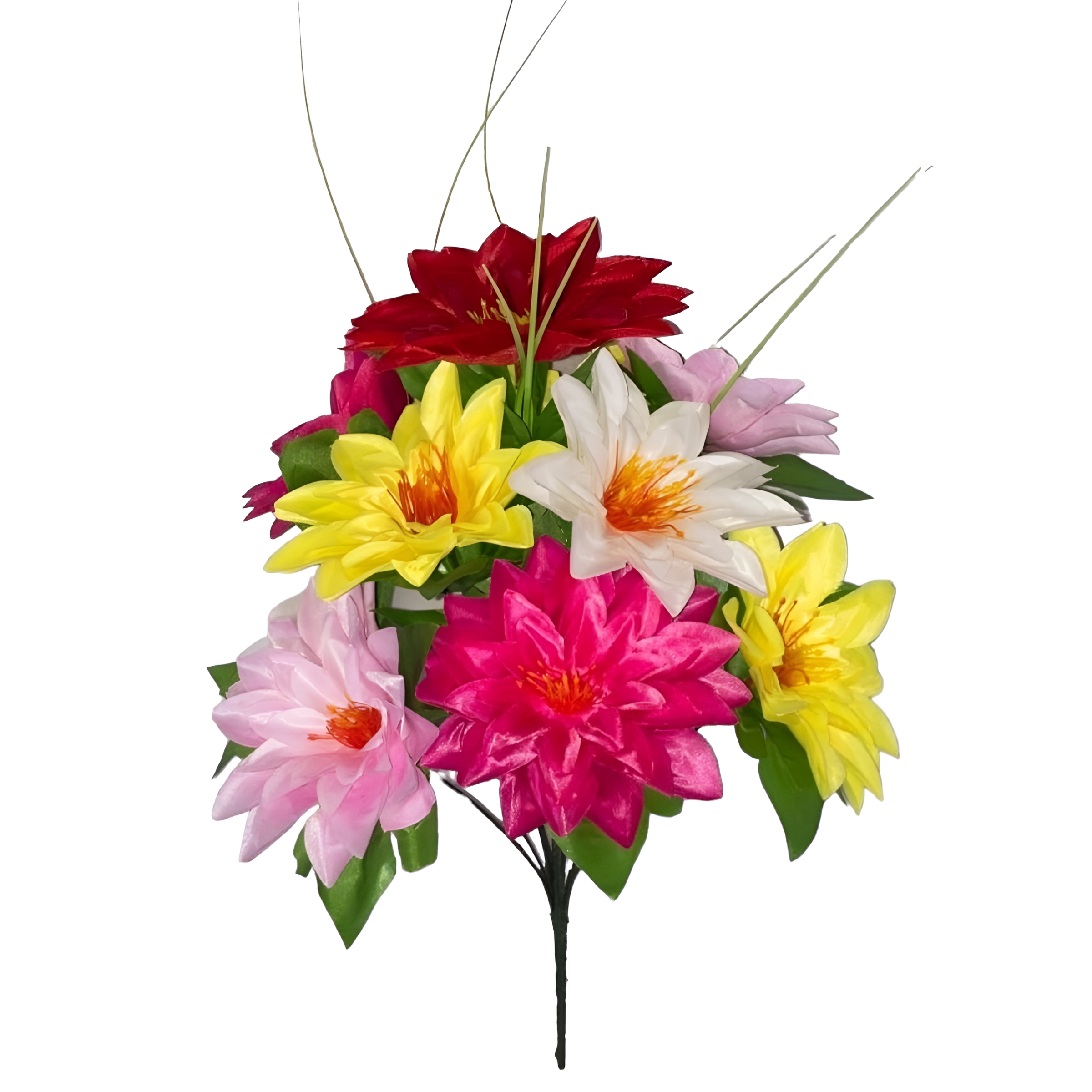 Flowers/